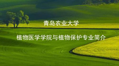 英国威廉希尔公司植物保护专业介绍